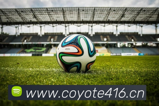 体育网官网登录入口发展历程